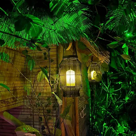 La Foret Tropicale Concepts En Barousse *