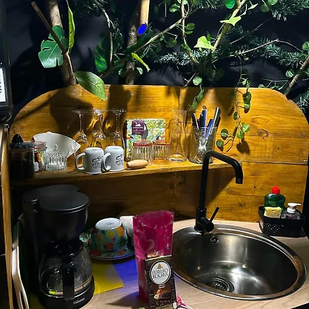 La Foret Tropicale Concepts En Barousse