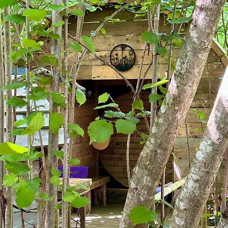 La Foret Tropicale Concepts En Barousse *