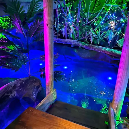 La Foret Tropicale Concepts En Barousse Créchets