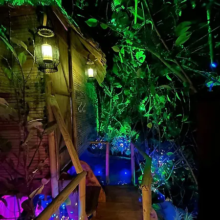 ロッジ La Foret Tropicale Concepts En Barousse *