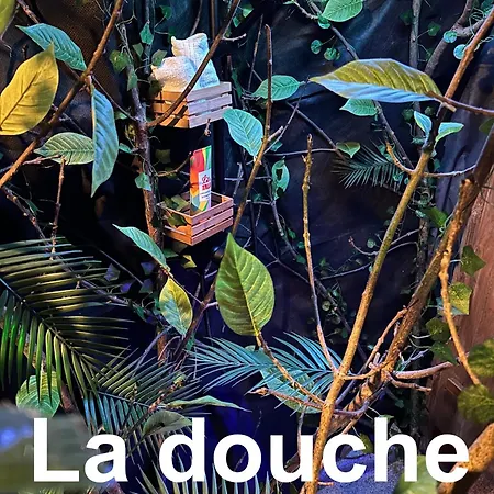 La Foret Tropicale Concepts En Barousse Créchets