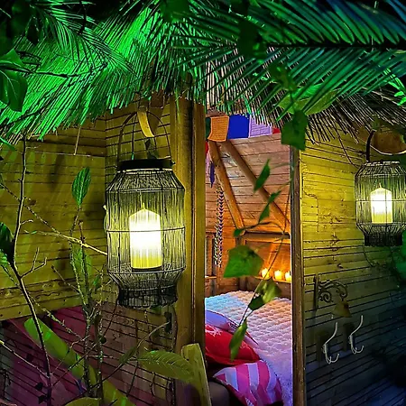 La Foret Tropicale Concepts En Barousse ロッジ Créchets